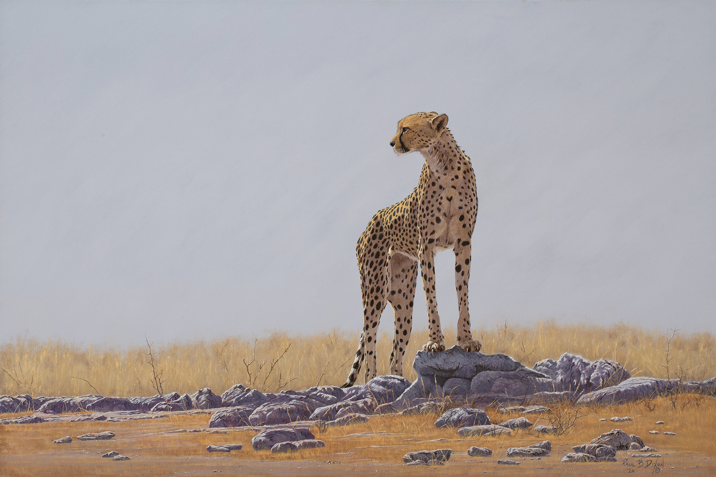 The Cat Scan - Image 2