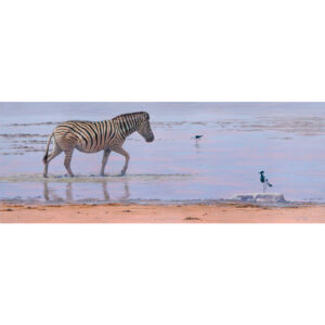 The Stilt, The Plover and The Zebra