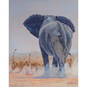 Who Are You Calling Big-Ears?