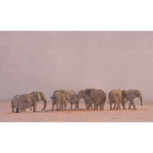 The Heavyweight Division